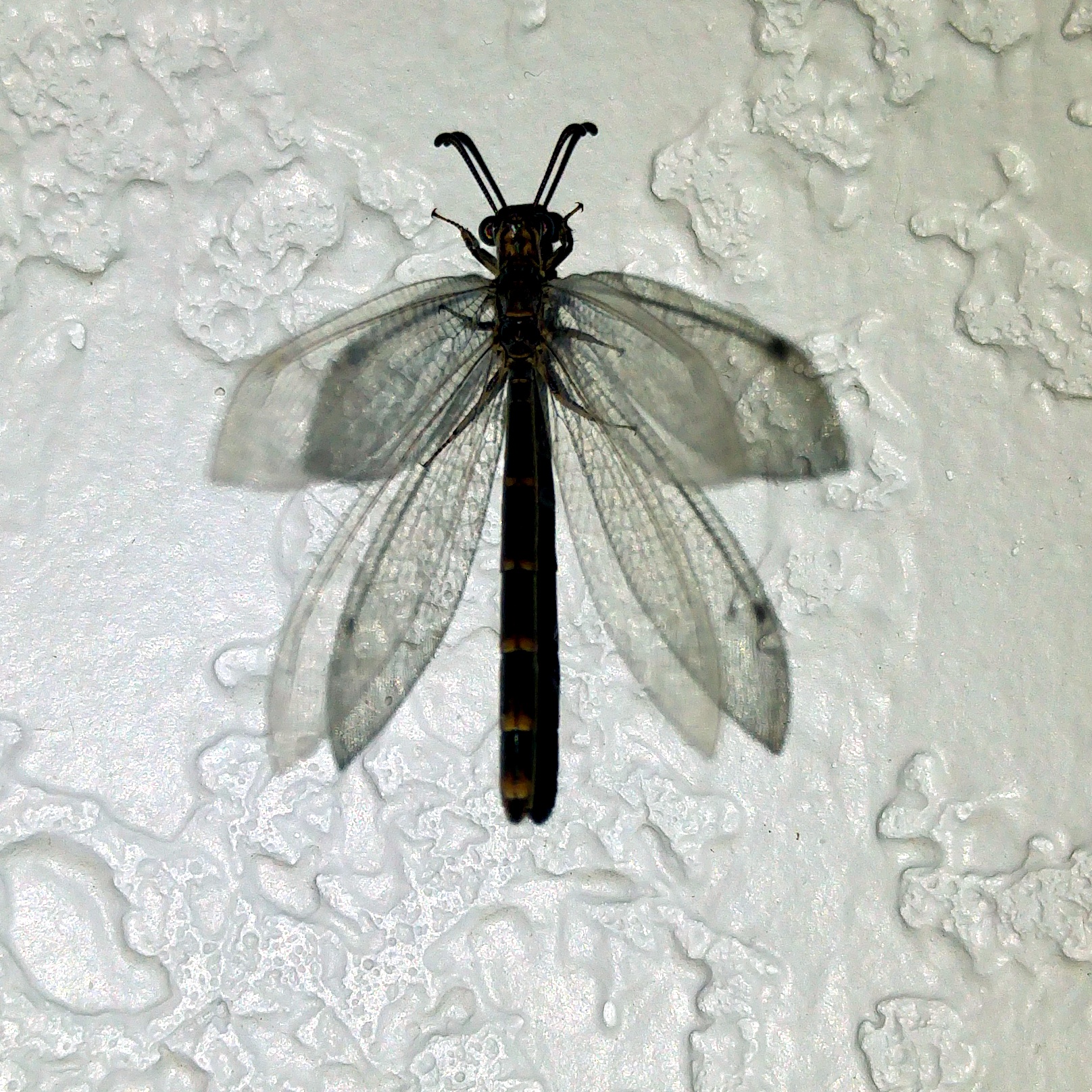 20160420_213612.jpg image