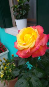 May 09, 2016 028