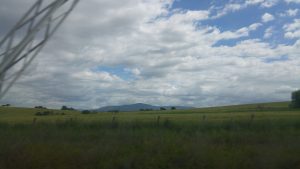 May 13, 2016 001