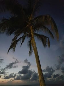 wp-image-954633221jpg.jpg